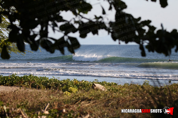 NSR_0106_Panga_Drops_January_16_2022_LR