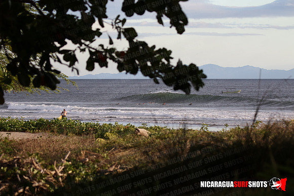 NSR_0077_Panga_Drops_January_26_2022_LR