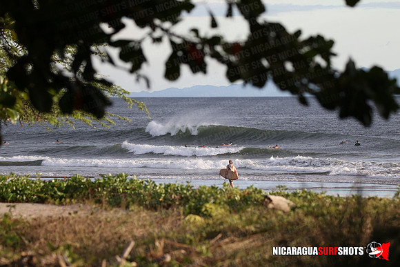 NSR_0056_Panga_Drops_January_26_2022_LR