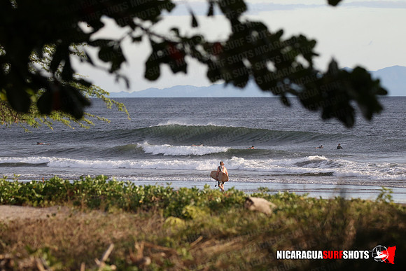 NSR_0048_Panga_Drops_January_26_2022_LR