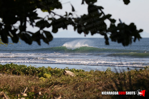 NSR_0096_Panga_Drops_January_16_2022_LR