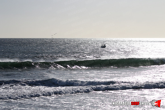 NSR_0038_Panga_Drops_January_23_2022_LR