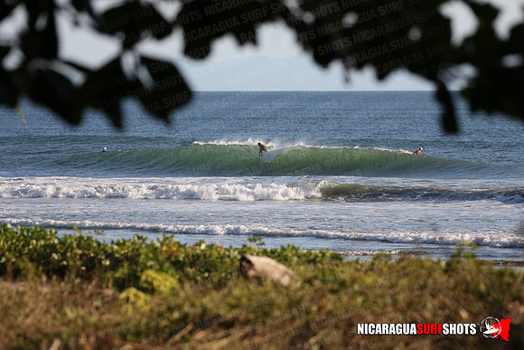 NSR_0063_Panga_Drops_January_16_2022_LR