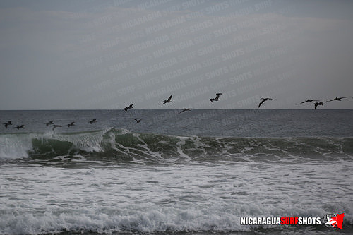 NSR_0793_Colorados_PM_April_13_2021_Logo