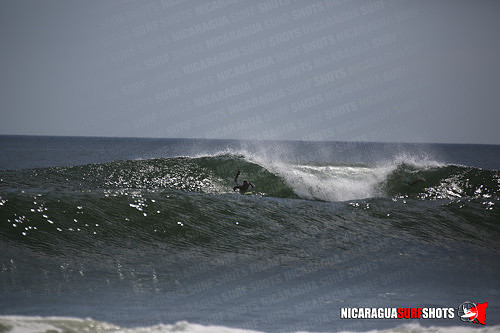 NSR_0623_Panga_Drops_April_11_2021_LR