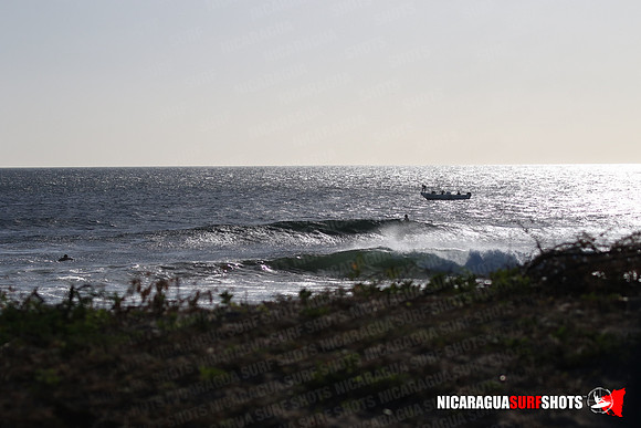 NSR_0009_Panga_Drops_January_23_2022_LR