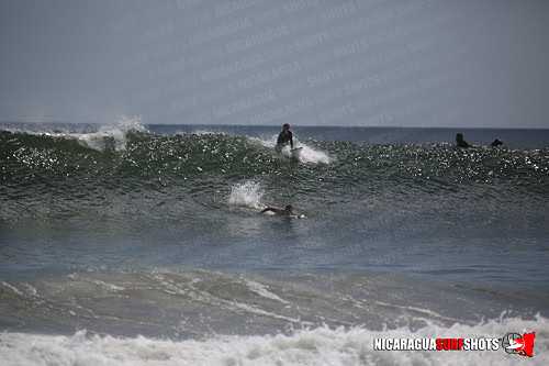 NSR_0691_Panga_Drops_April_11_2021_LR