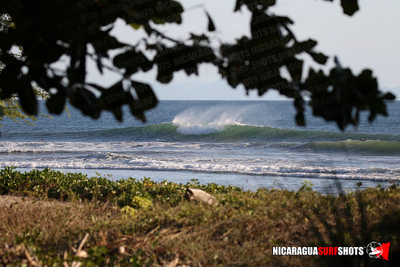 NSR_0099_Panga_Drops_January_16_2022_LR