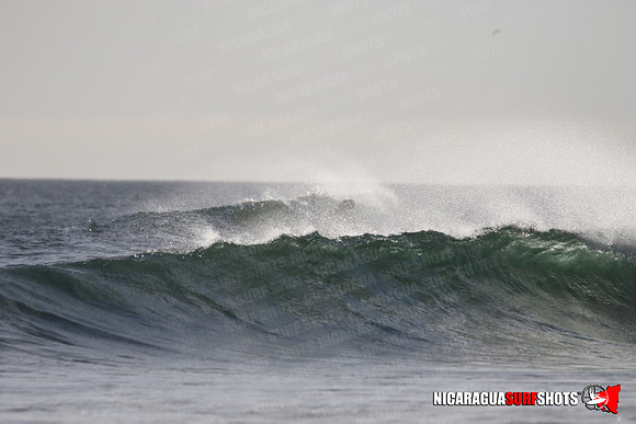 NSR_0321_Panga_Drops_January_23_2022_LR