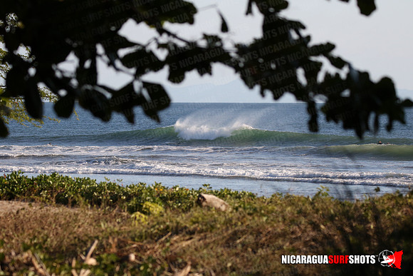 NSR_0101_Panga_Drops_January_16_2022_LR