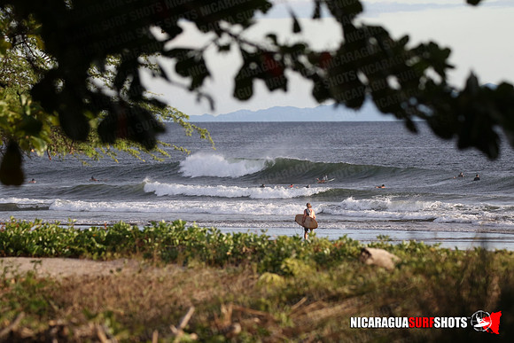 NSR_0062_Panga_Drops_January_26_2022_LR