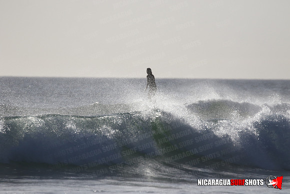 NSR_0451_Panga_Drops_January_23_2022_LR