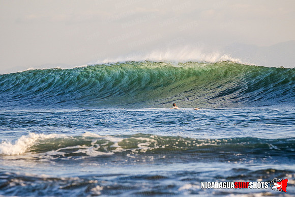 NSR_1138_Panga_Drops_January_18_2022_CC_Logo
