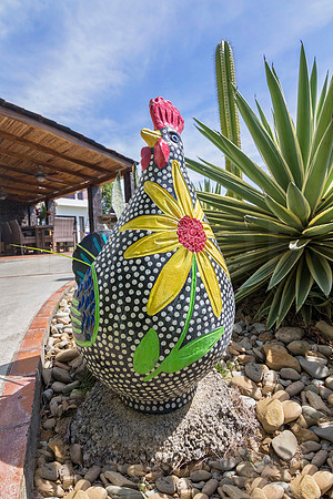 Casa_Olimar_Gallina_Flower_Pot_CC