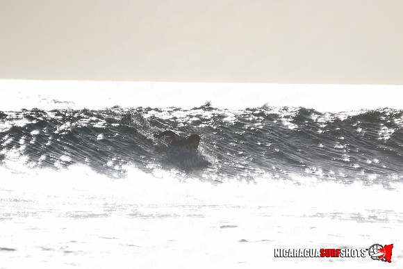NSR_0279_Panga_Drops_January_23_2022_LR