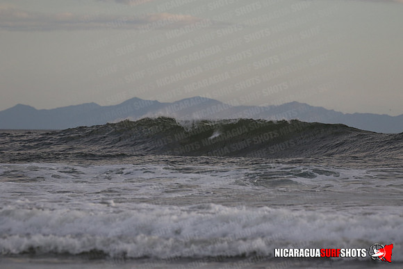 NSR_0483_Panga_Drops_January_26_2022_LR