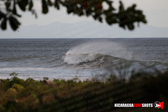NSR_0003_Panga_Drops_January_31_2022_Logo