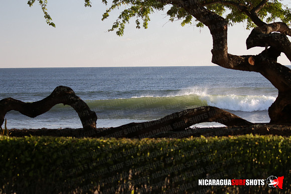 NSR_0005_Panga_Drops_February_02_2022_LR