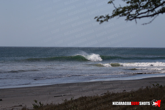 NSR_0012_Panga_Drops_January_17_2022_LR