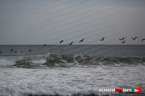 NSR_0794_Colorados_PM_April_13_2021_Logo