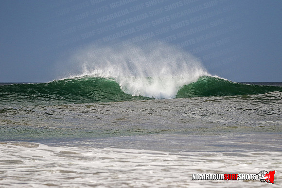 NSR_1116_Panga_Drops_January_25_2022_CC_Logo