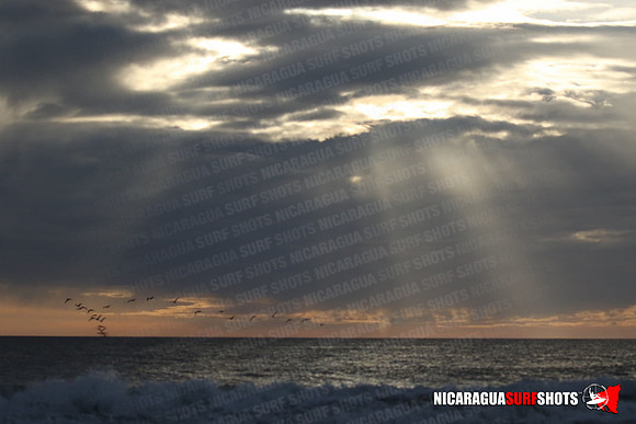 NSR_0677_Panga_Drops_January_26_2022_LR