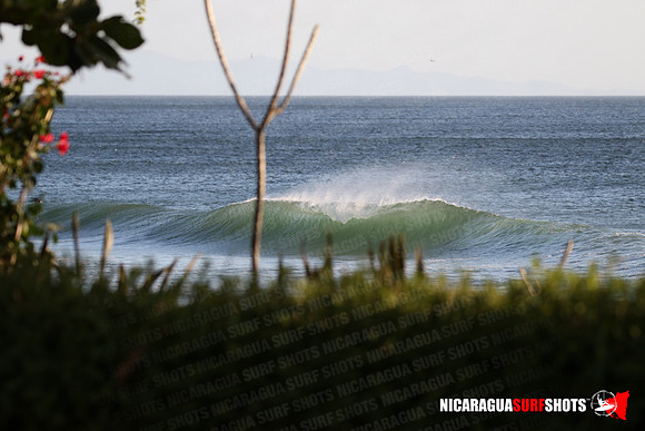 NSR_0020_Panga_Drops_January_18_2022_LR