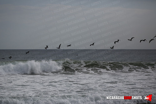 NSR_0796_Colorados_PM_April_13_2021_Logo