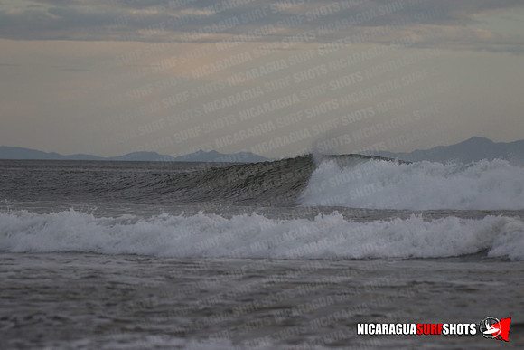 NSR_0619_Panga_Drops_January_26_2022_LR