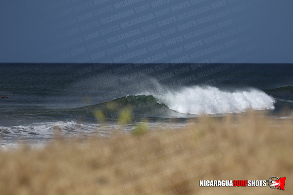 NSR_0004_Panga_Drops_January_25_2022_LR