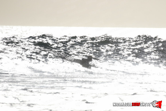 NSR_0277_Panga_Drops_January_23_2022_LR