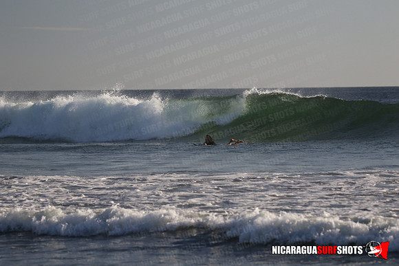 NSR_0527_Panga_Drops_January_23_2022_LR