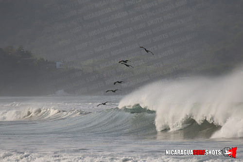 NSR_0623_Colorados_AM_April_23_2021_LR