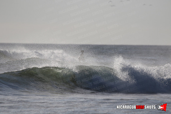 NSR_0328_Panga_Drops_January_23_2022_LR