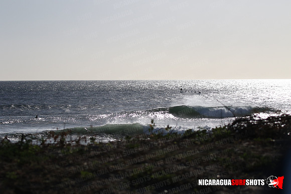 NSR_0030_Panga_Drops_January_23_2022_LR
