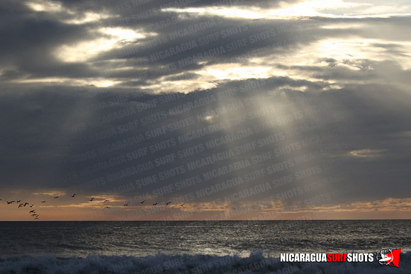 NSR_0682_Panga_Drops_January_26_2022_LR