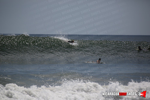 NSR_0687_Panga_Drops_April_11_2021_LR