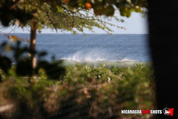 NSR_0002_Panga_Drops_January_16_2022_LR