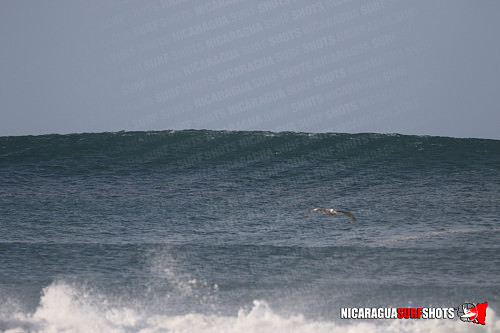 NSR_0656_Colorados_AM_April_23_2021_LR