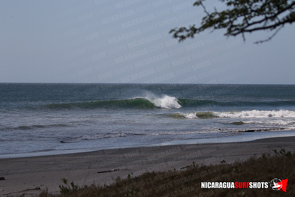 NSR_0011_Panga_Drops_January_17_2022_LR