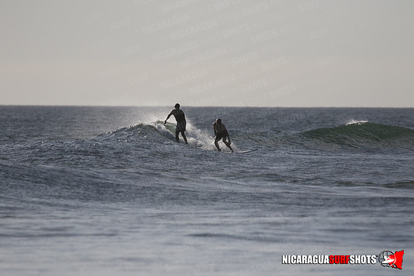 NSR_0347_Panga_Drops_January_23_2022_LR