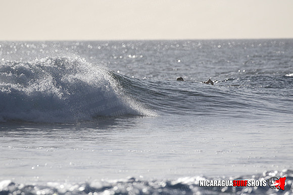 NSR_0339_Panga_Drops_January_23_2022_LR