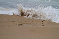 Wedge_7_20_2010_IMG_0047