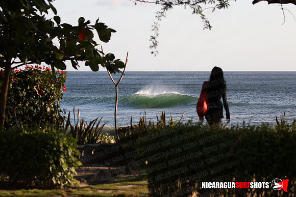NSR_0001_Panga_Drops_January_18_2022_LR