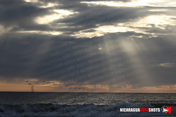 NSR_0672_Panga_Drops_January_26_2022_LR
