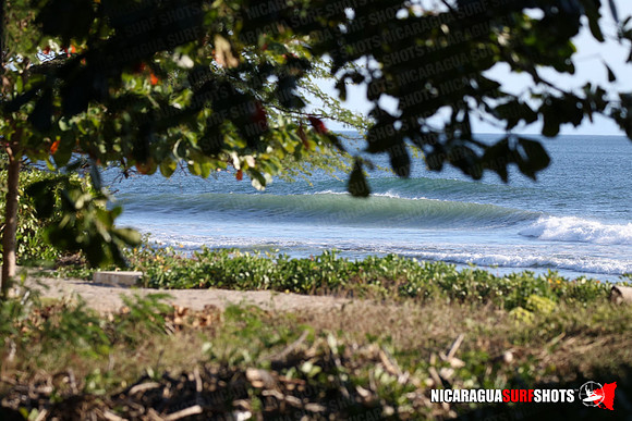 NSR_0012_Panga_Drops_January_16_2022_LR
