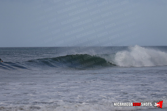 NSS_0086_Panga_Drops_January_29_2022_LR
