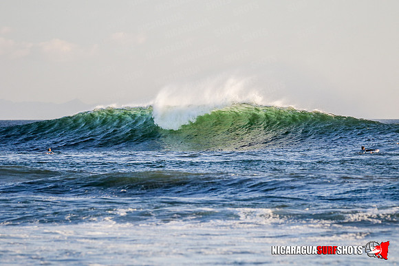 NSR_0944_Panga_Drops_January_18_2022_CC_Logo