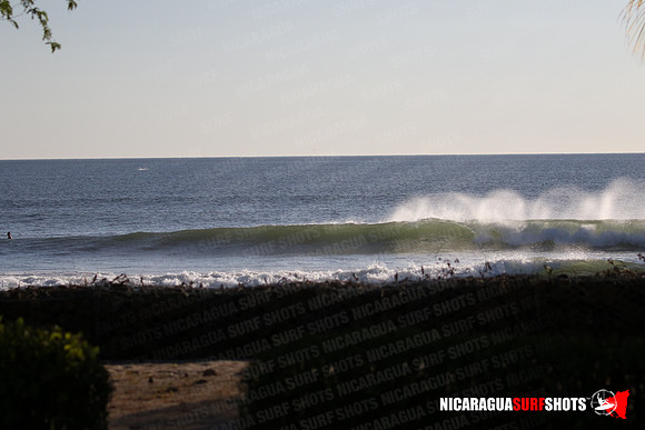 NSR_0003_Panga_Drops_February_02_2022_LR