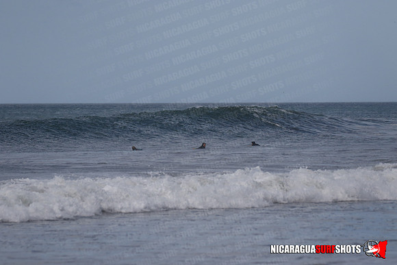 NSS_0067_Panga_Drops_January_29_2022_LR